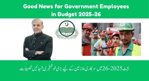 Good News for Government Employees in Budget 2025-26